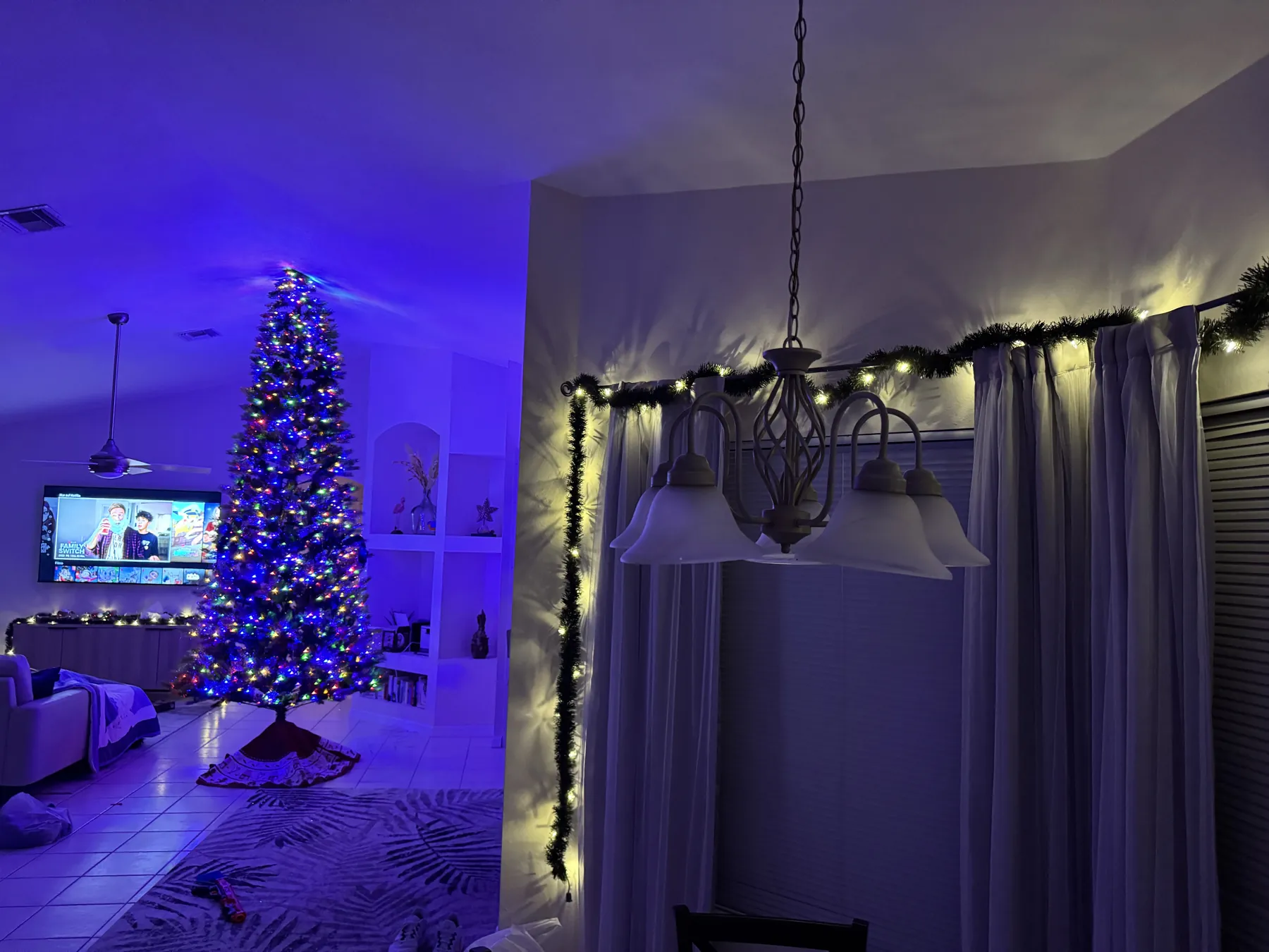 Christmas tree in the living room